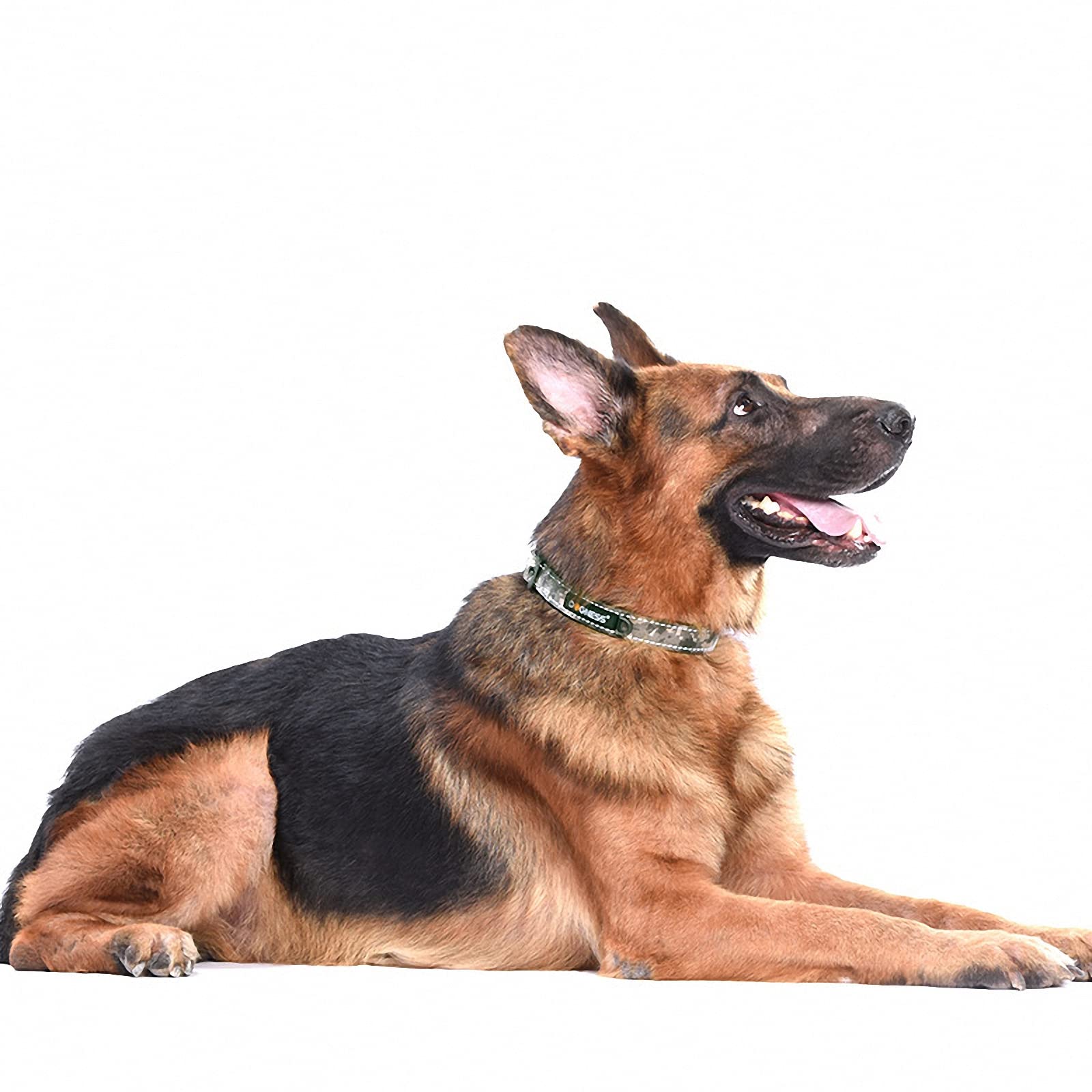 Taktisches hundegeschirr, Halsband, Leine-Set,militärischer Fan, mittelgroße und große Haustier-brustweste,sicherheitsgeschirr für Hunde, für Reisen, Patrouille, Training