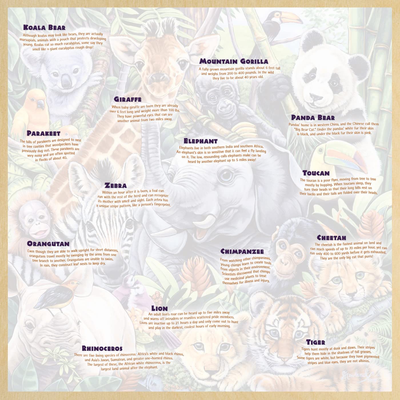 Masterpieces 48 Piece Fun Facts Jigsaw Puzzle for Kids - Safari Friends Wood Puzzle - 12"x12" - Image 4