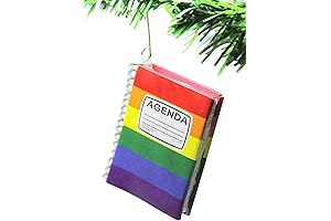 Limited Edition: Gay Agenda Lesbian LGBTQ Ornament Christmas Gift