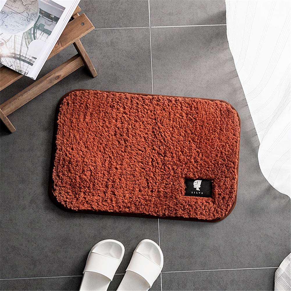 YCDZ Tapis De Salle De Bain, Super Doux, Absorbant L'eau Dans La Salle De Bain Tapis De Sol Antidérapant Et Moelleux En Fibre De Carbone, Tapis De Sol (40 x 60 cm,Light gray)