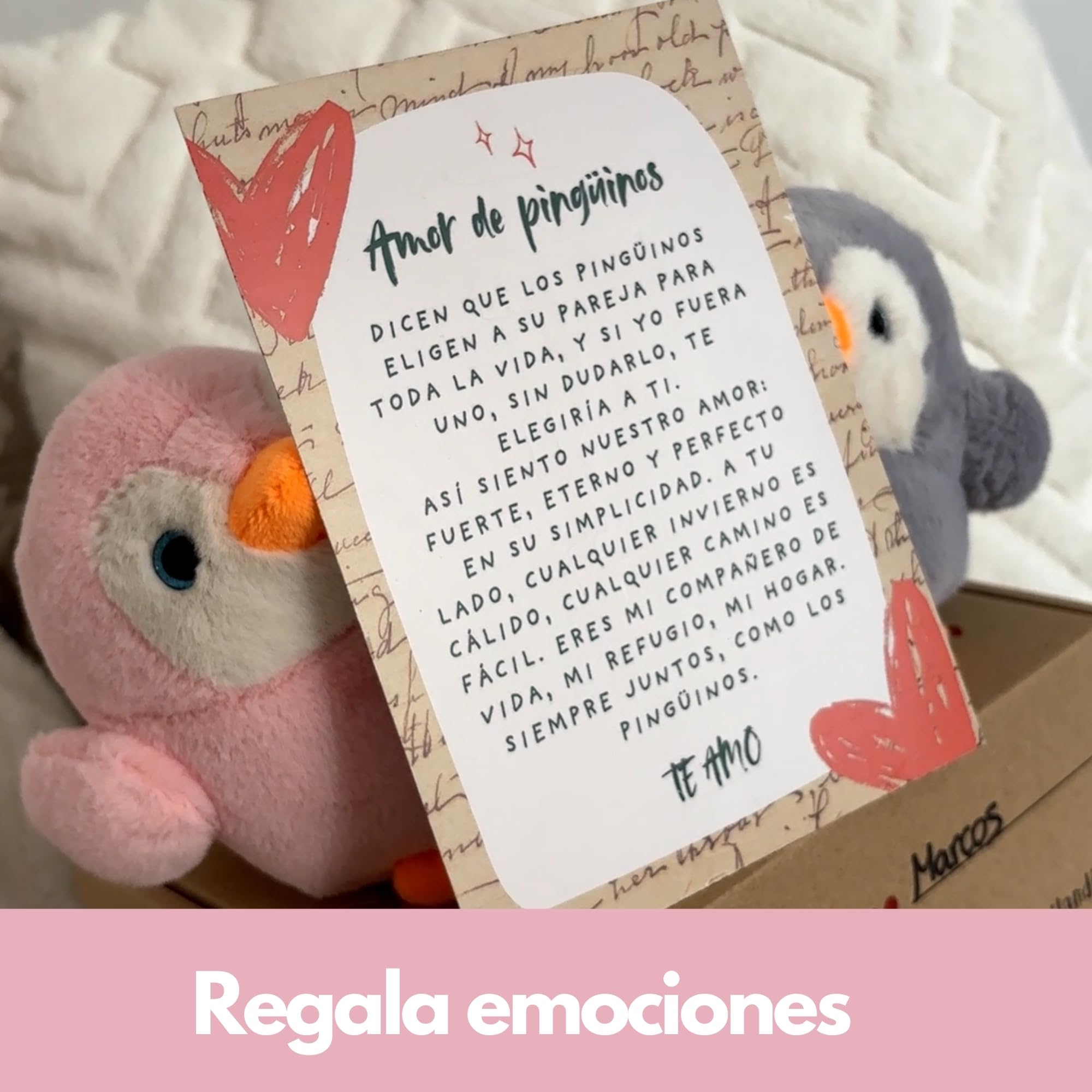 Regalo Pareja | Peluches Pingüino con Carta de Amor y Caja Decorada | Regalos Originales para Aniversario Pareja | Regalos Personalizados para Enamorados o San Valentín