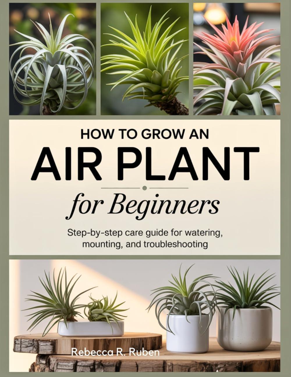 HOW TO GROW AN AIR PLANT FOR BEGINNERS: Step-by-Step Care Guide for Watering, Mounting, and Troubleshooting
