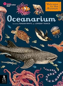 Oceanarium by author Loveday Trinick and illustrator Teagan White Welcome To The Museum
