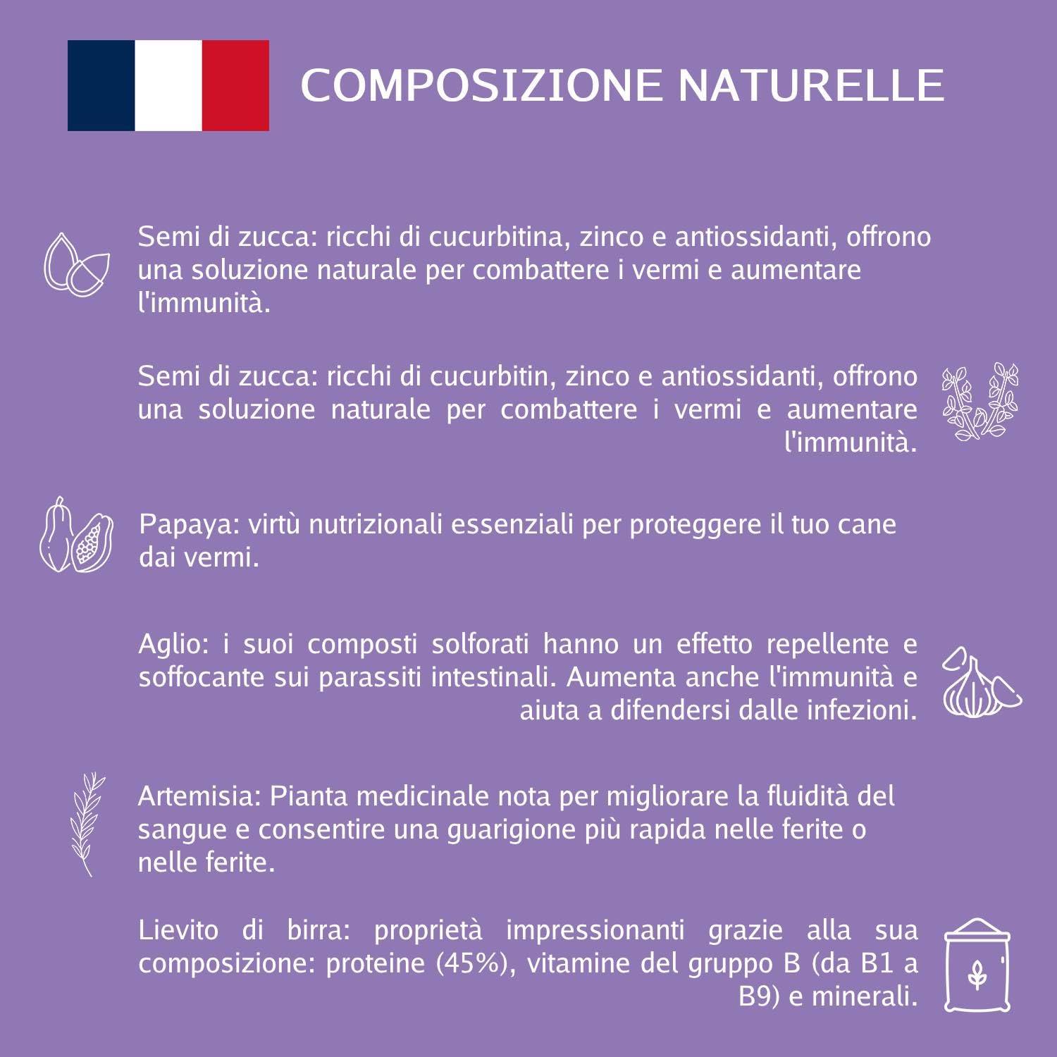 NEOVÉTO Vermipurge - Odrobacz dla psów w naturalnych tabletkach - substancje czynne zatwierdzone przez francuskie służby weterynaryjne - wyprodukowano we Francji, łatwe w podawaniu - 15 apetycznych