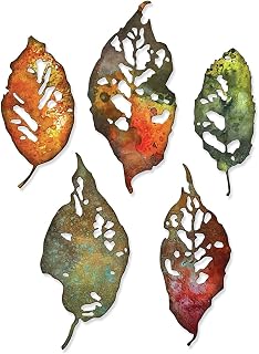 Sizzix Thinlits Die Set 5PK Fragments de Feuilles par Tim Holtz, 665559, Multicolor, Taille unique