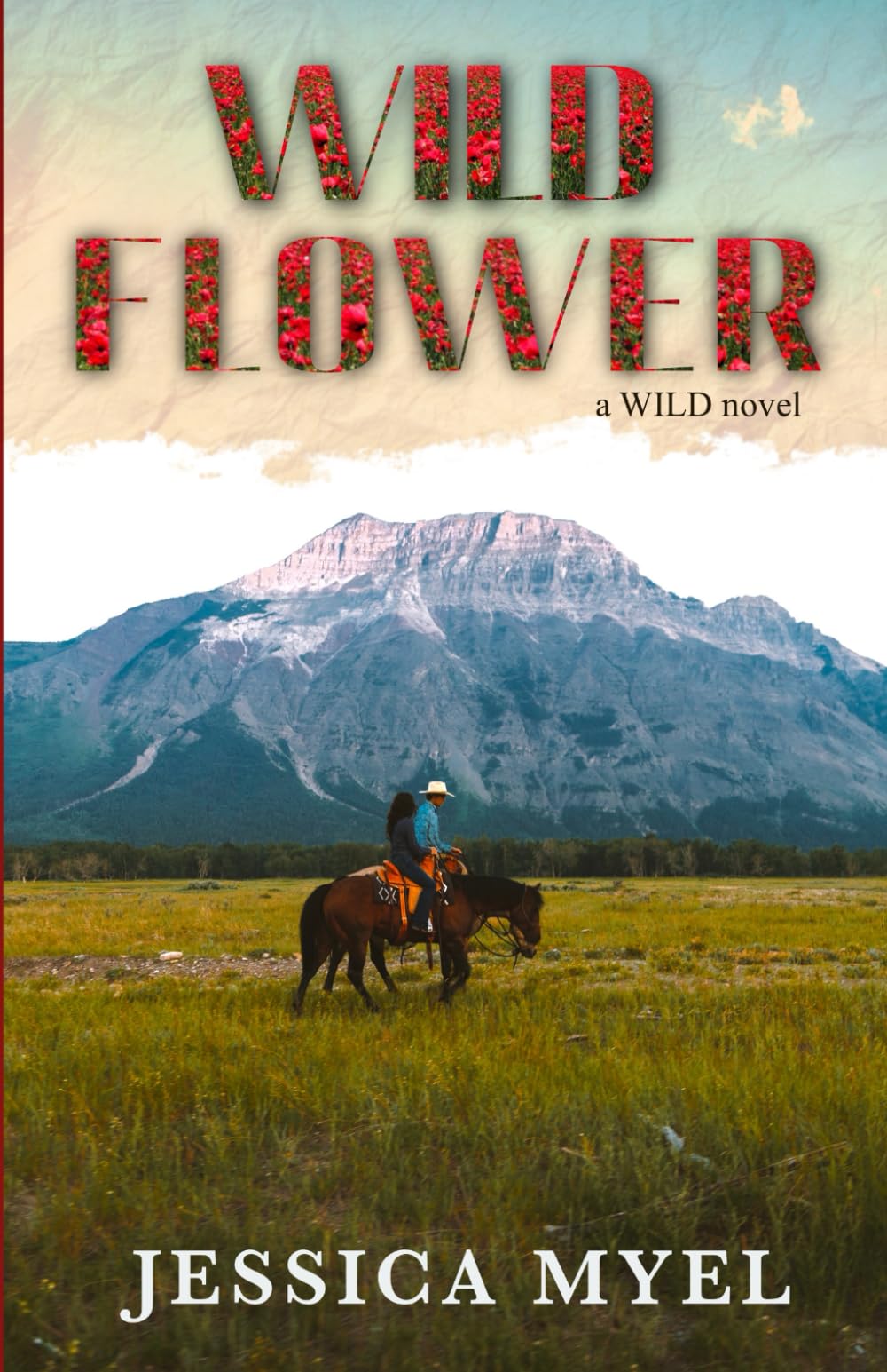 Wildflower: A Friends to Lovers Small Town Romance: 1 (the WILD series)