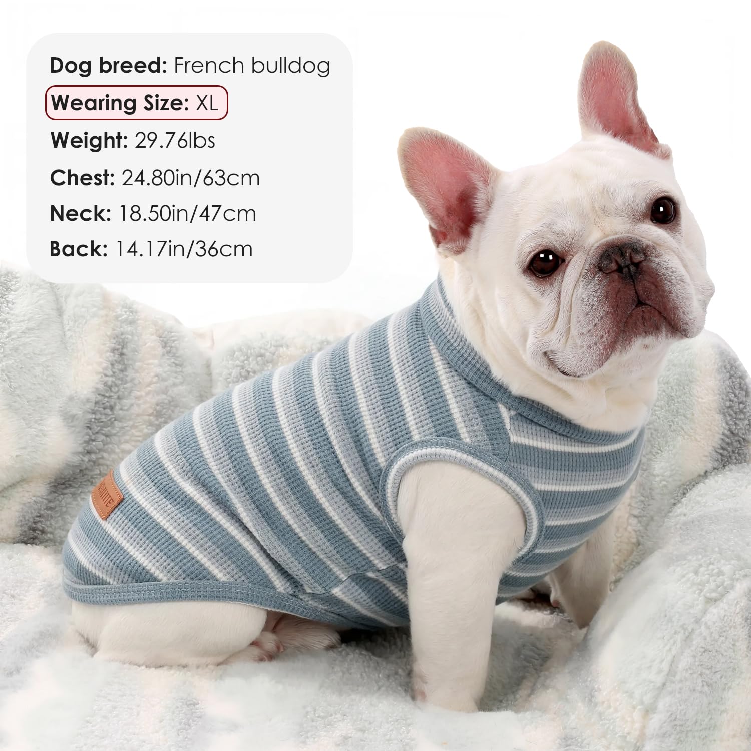 3Pack Dog Shirts Lightweight Waffle Dog Shirt for Small Dogs Sleeveless Dog Shirt for Small Medium Boy Girl Dogs Cozy & Breathable Pet Vest - 2