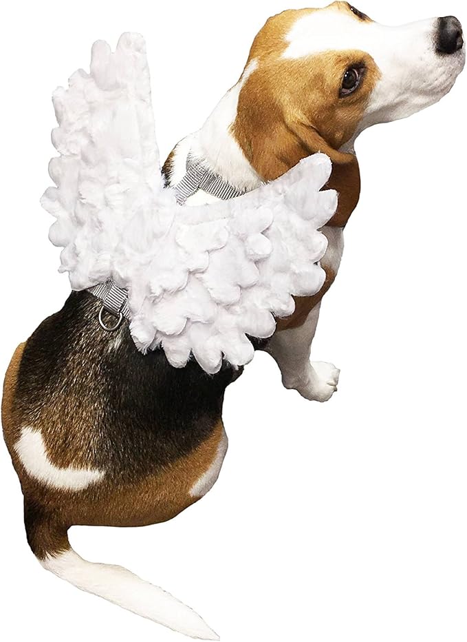dog harness with wings