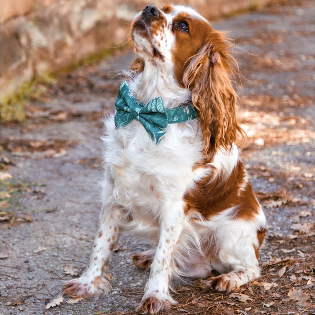 Köpek Papyonu (2 Beden) I Desen Seçenekli I Sadece Papyon Tasma Dahil Değil (Medium, Yeşil Çiçekli)