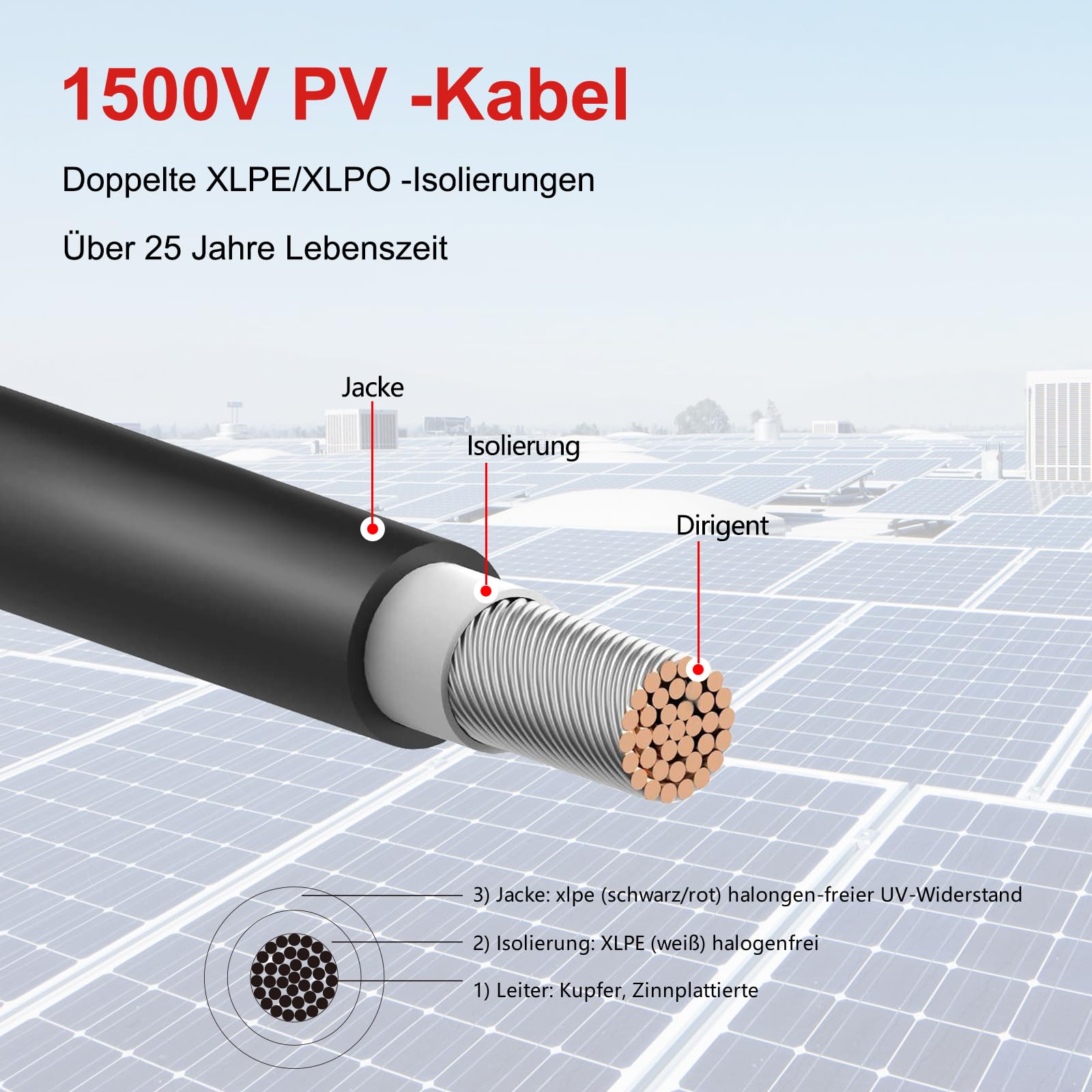 Cavo solare da 6 mm2, 10 m, 10 AWG, 1500 V, con connettore impermeabile IP68 femmina e spina (10 m)