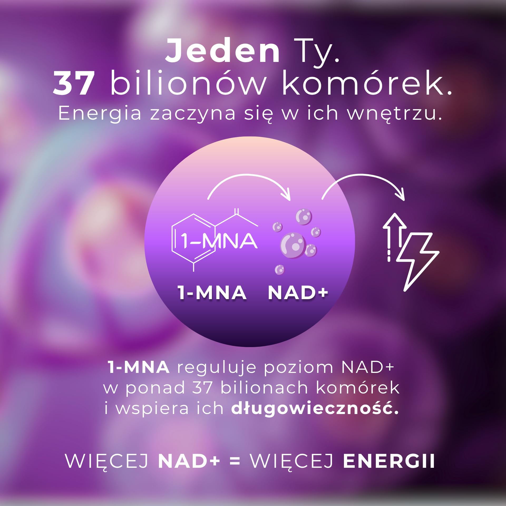 1-MNA Endurance, Optymalizujący NAD+, Suplement dla Sportowców Profesjonalnych i Amatorskich, na Siłownię, dla Biegaczy, z Kreatyną i Różeńcem Górskim, 30 Saszetek