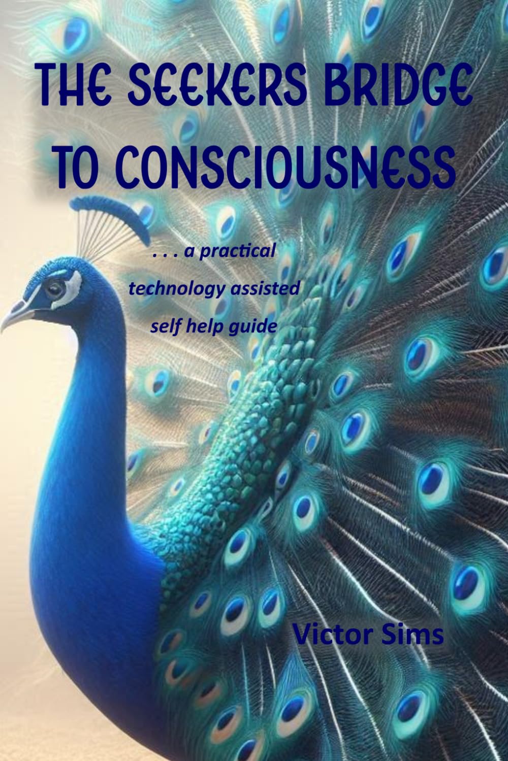The Seekers Bridge to Consciousness: A practical technology-assisted self help guide to evolve your consciousness