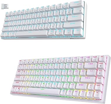 RK ROYAL KLUDGE RK61 Brown Switch White & RK84 RGB Brown Switch White Bundle
