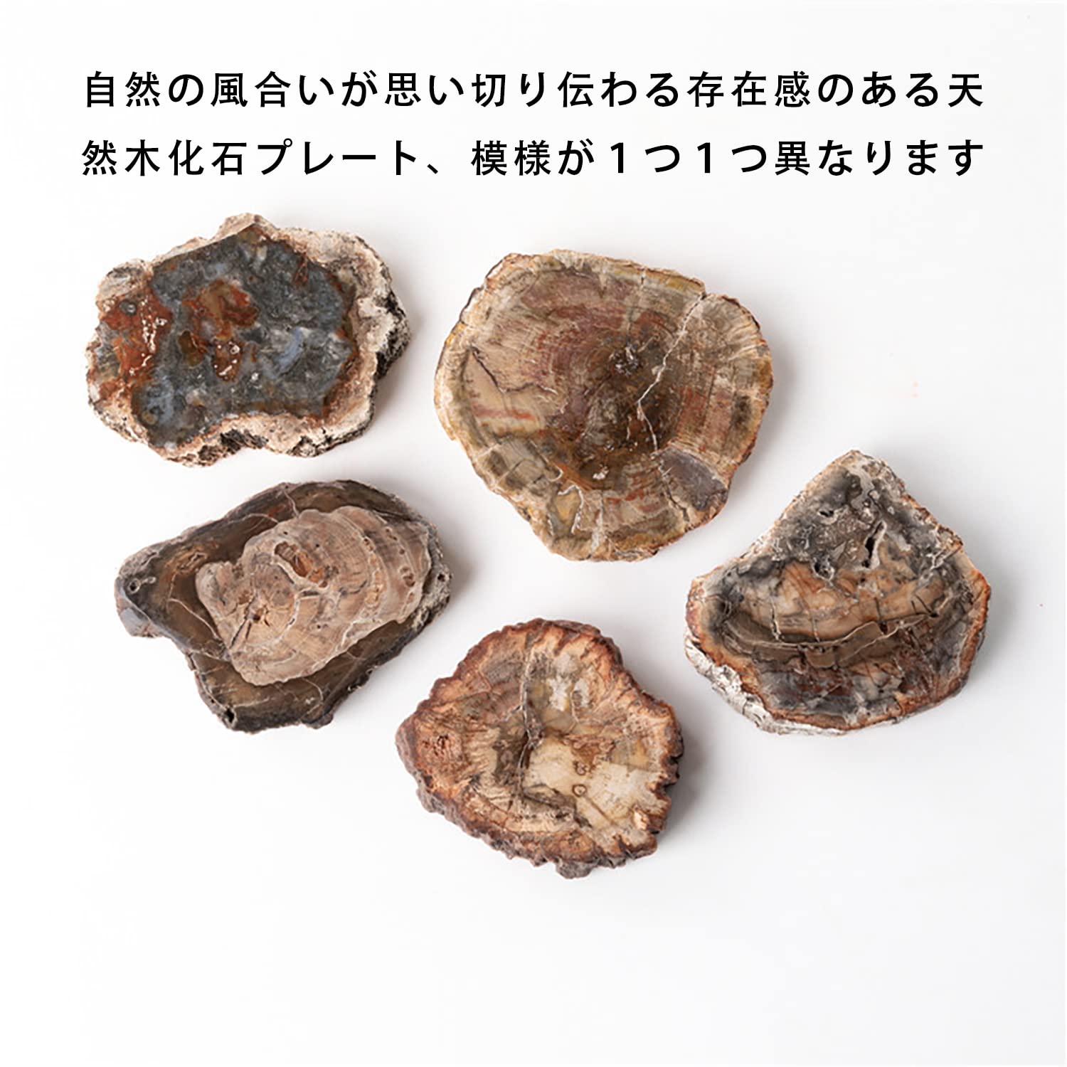木製 自然な形状の置物　木の化石　希少　小物入れ　クラスター　パワーストーン Amazon｜SUKIMIMD 天然木化石プレート5～7cm 化石化天然木材鉱石