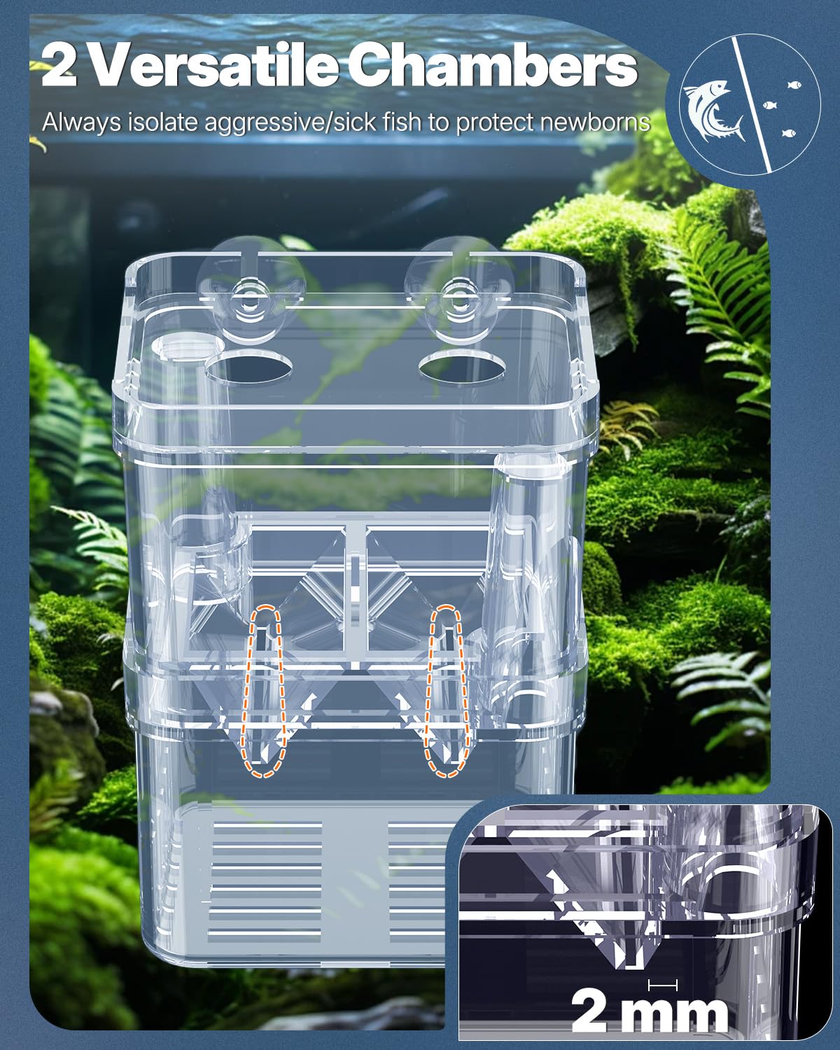 Pawfly acquario pesce allevamento box trasparente plastica Breeder Box per serbatoio di pesce avannotti incubatore incubazione Box per pesci aggressivi Guppy