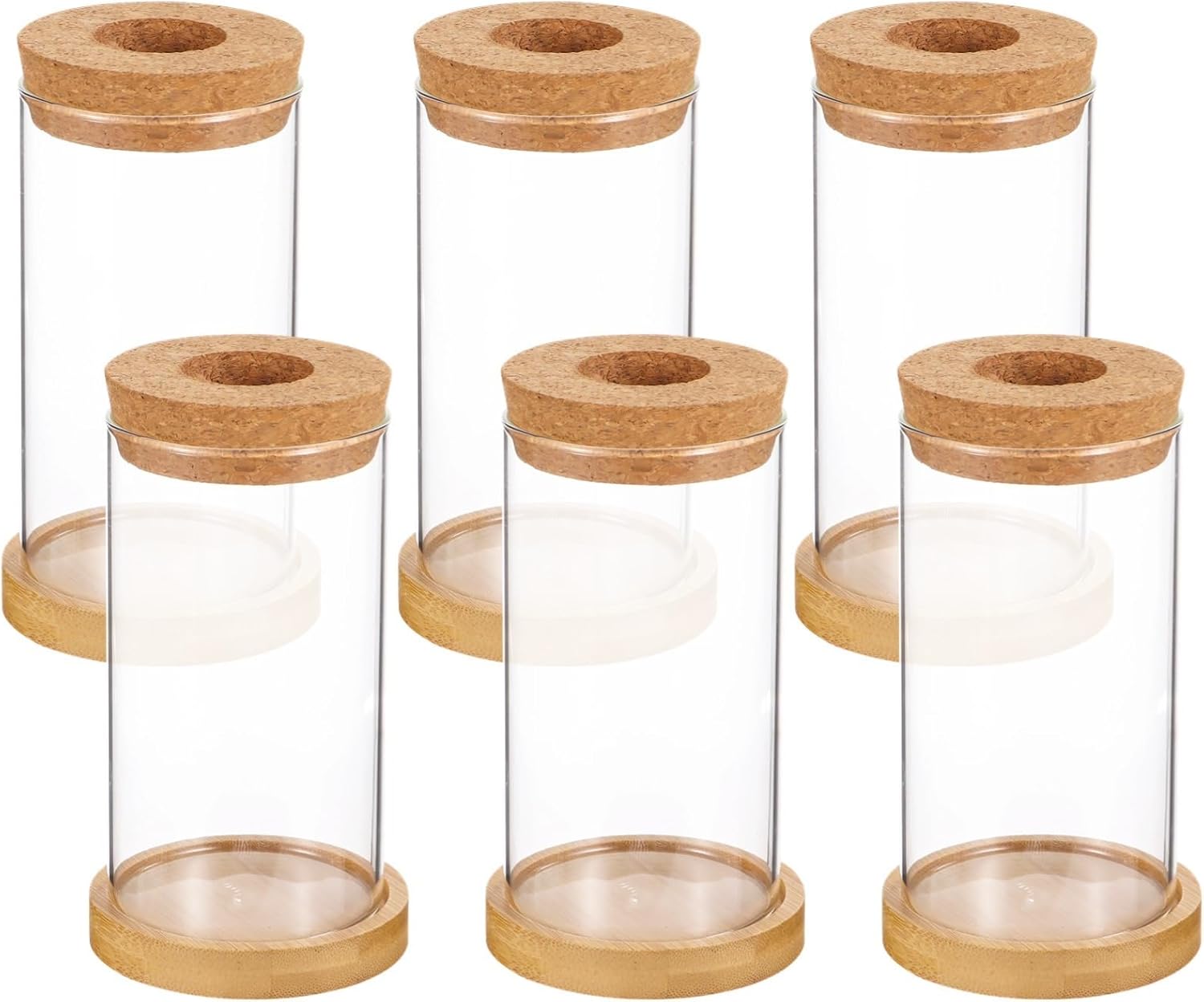Set of 6 Glass Terrariums with Cork Lids & Bamboo Saucers, Indoor Plant Vases for Water Propagation, Desk Planter Stations for Home & Office