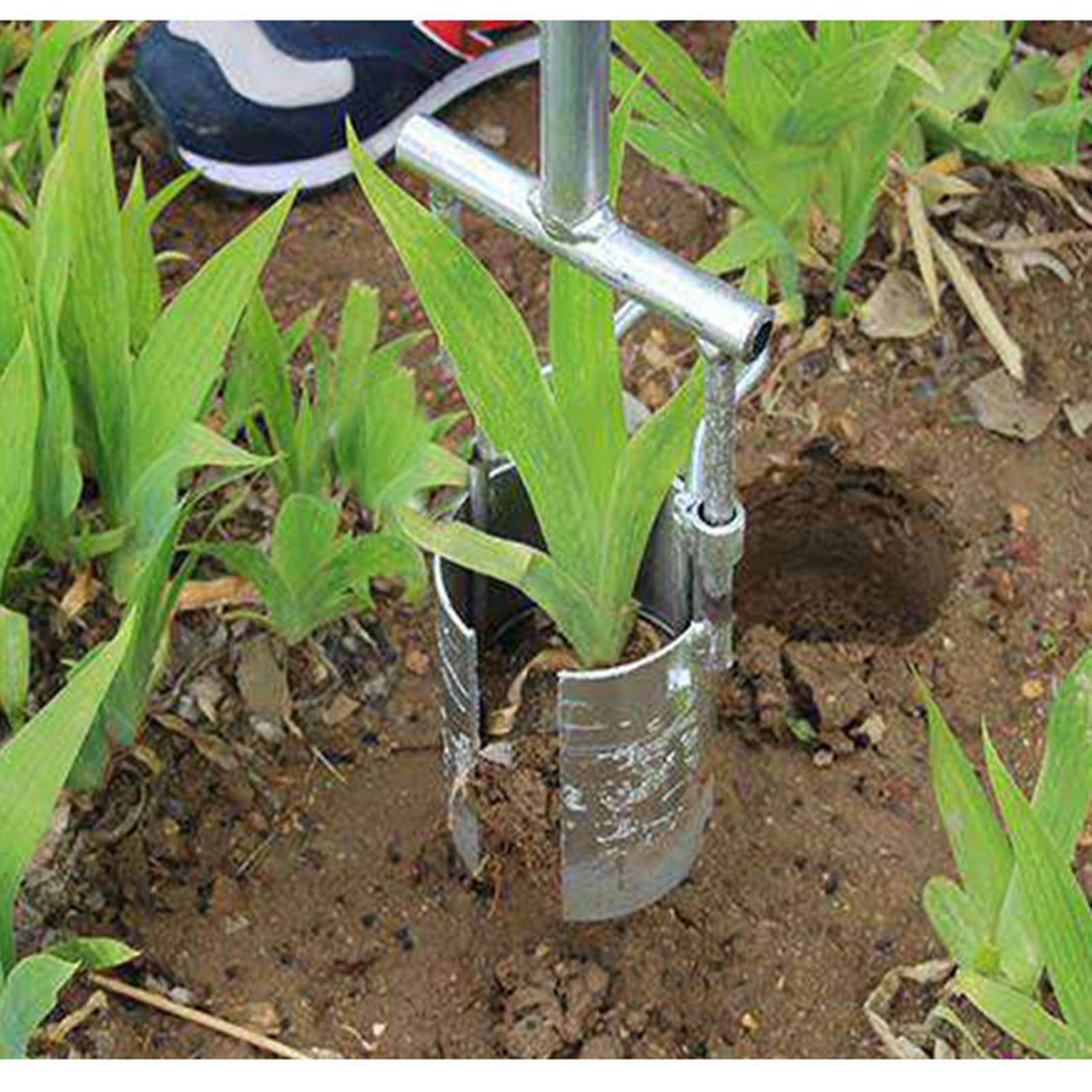 Seminatrice Manuale,Attrezzi da Giardino,Trapiantatrice Ortaggi,Strumenti per Fioriera per Uso Domestico,con Doppia Maniglia,acciai Inossidabili