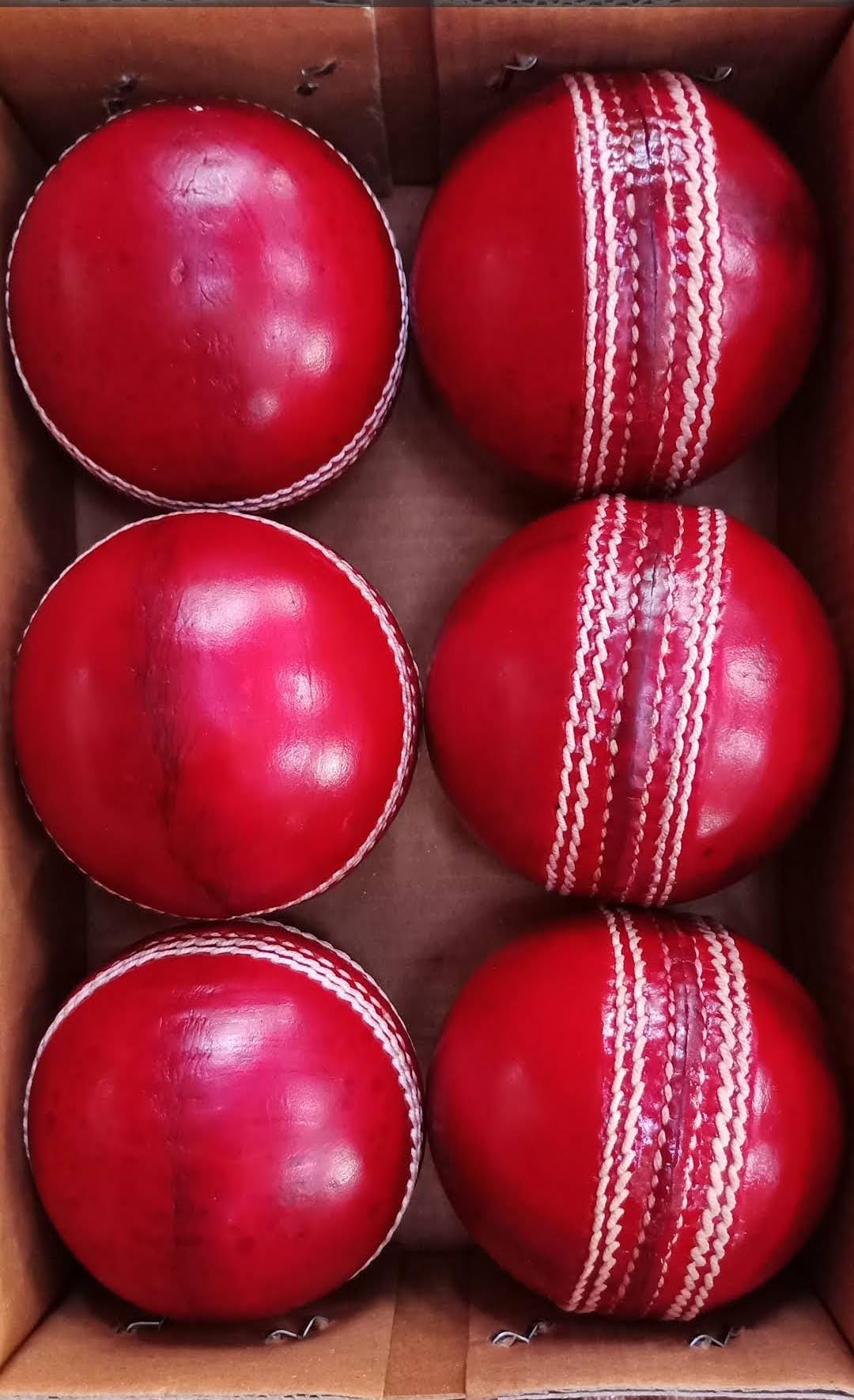 Balle de Cricket en Cuir (2 pièces)