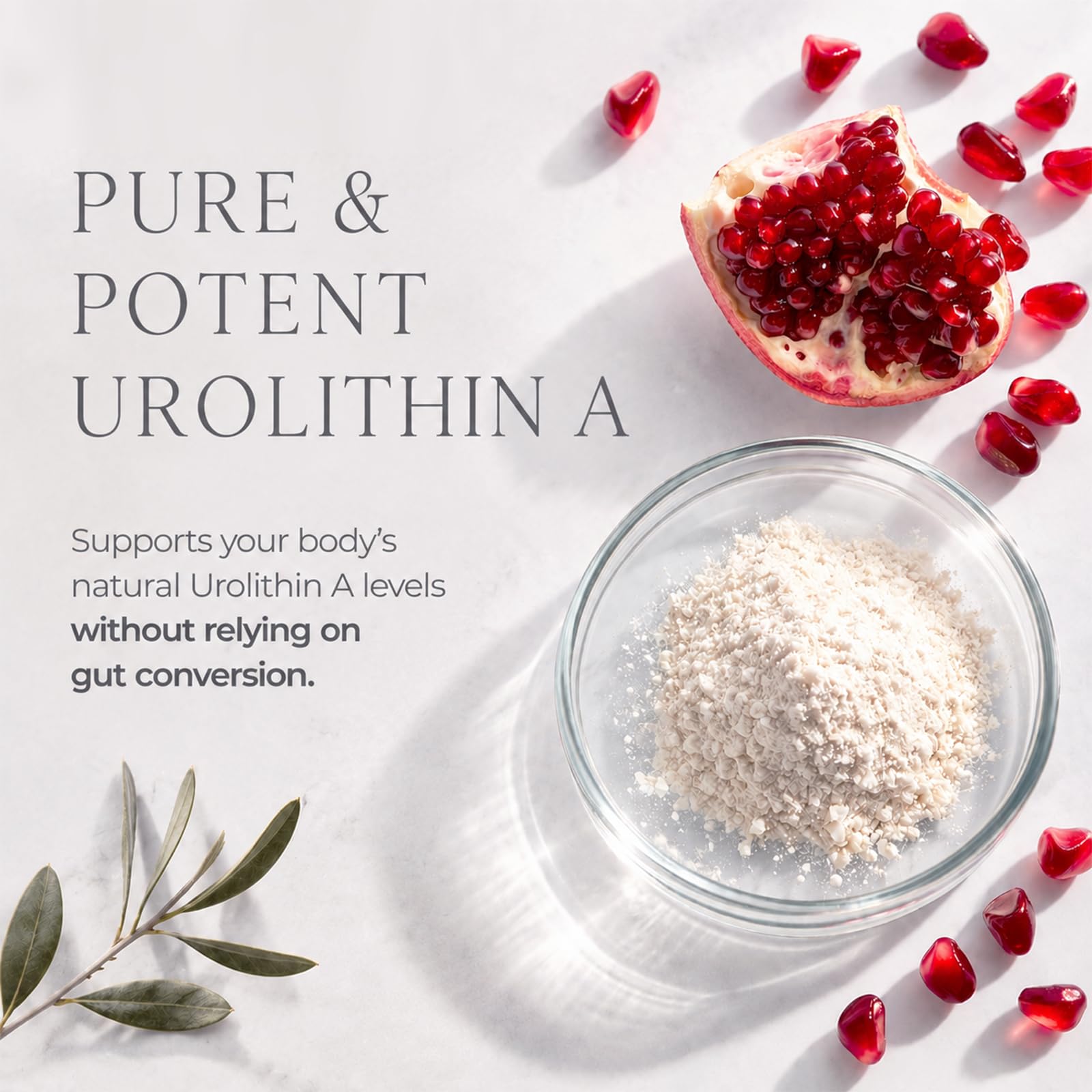 Urolithin A Supplement Longevity Gummy for Healthy Aging & Cellular Energy — Amazon image 4