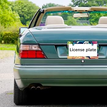 Amazon.co.jp: Stitch スティッチ ナンバーフレーム 車用