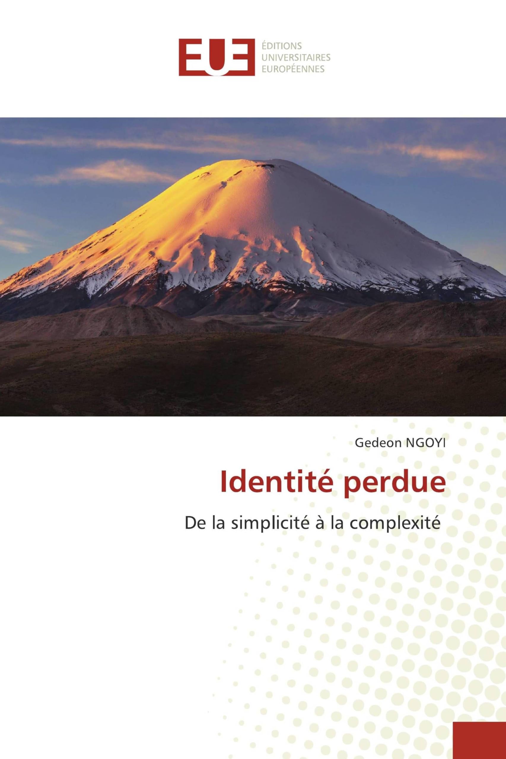 Identité perdue: De la simplicité à la complexité