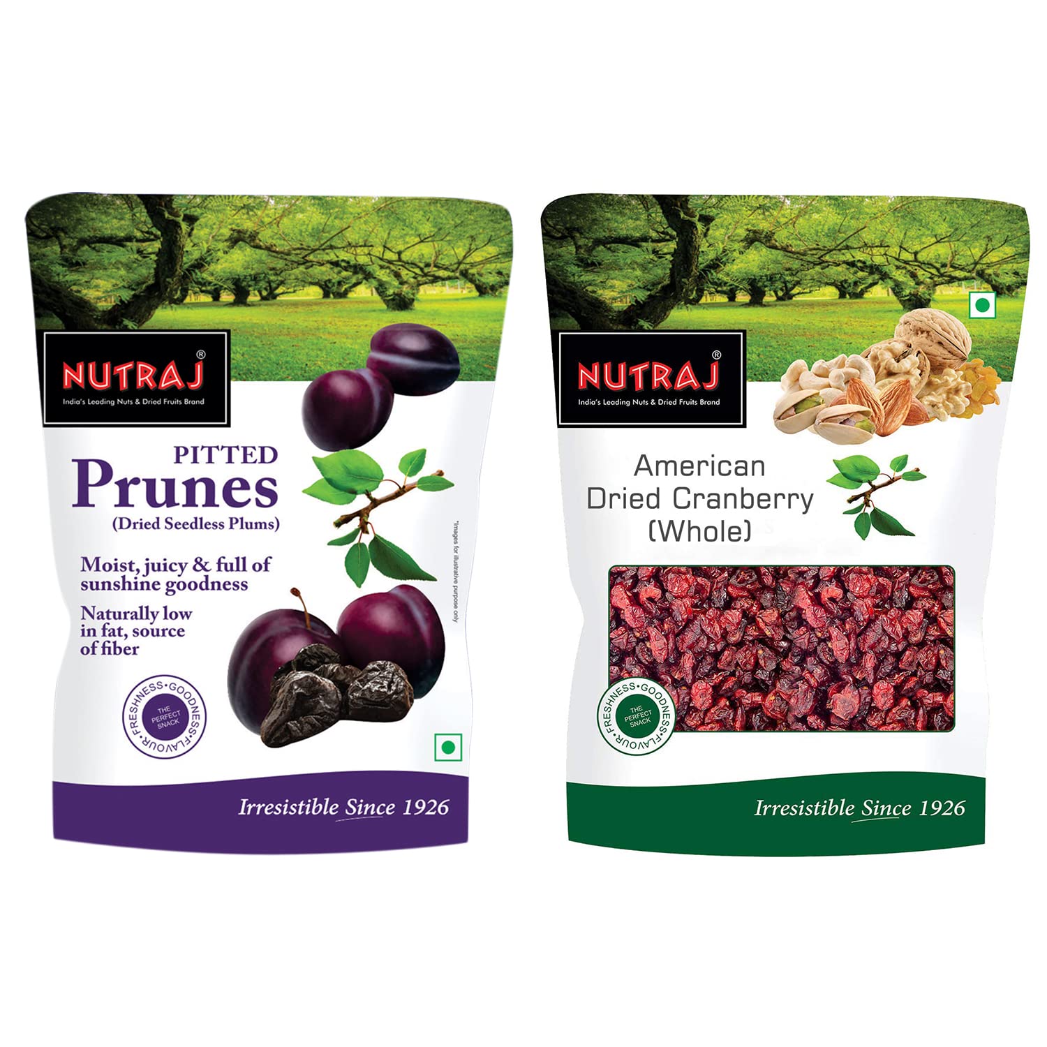 Nutraj Dried Fruits 400g Combo of Cranberry & Prunes (LowSugar
