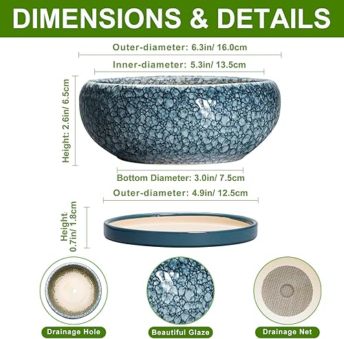 Miniatura 2 de Macetas para suculentas de 6 pulgadas, macetas de cerámica para bonsái con orificio de drenaje y platillo, macetas poco profundas para interiores y