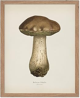 Monem Art Boletus Edulis Poster - Porcino Print - Mushroom Art - Botanical Illustration - Minimal Design - Forest Decor - Housewarming Gift Design - Great Bedroom or Living Room Decor - 8x10 Beige Framed