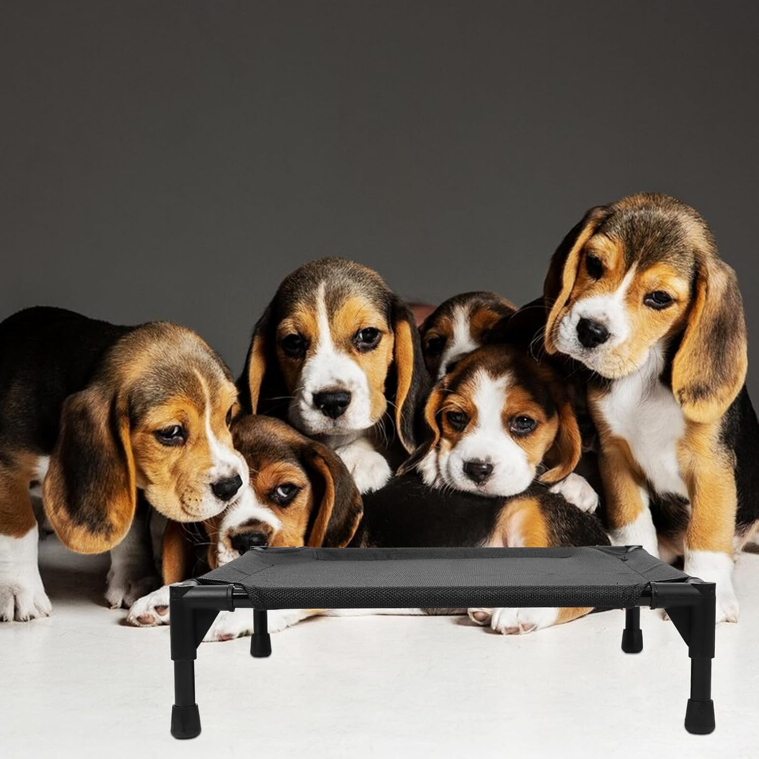 Outdoor Raised Dog Bed Small Cooling Elevated Pet Cot Breathable Mesh Removable Cover 50x50x12cm for Small Dogs Under 15lbs Summer Camping Use