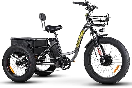 Amazon.com : Maxfoot Electric Tricycle 