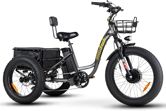 Amazon.com : Maxfoot Electric Tricycle 