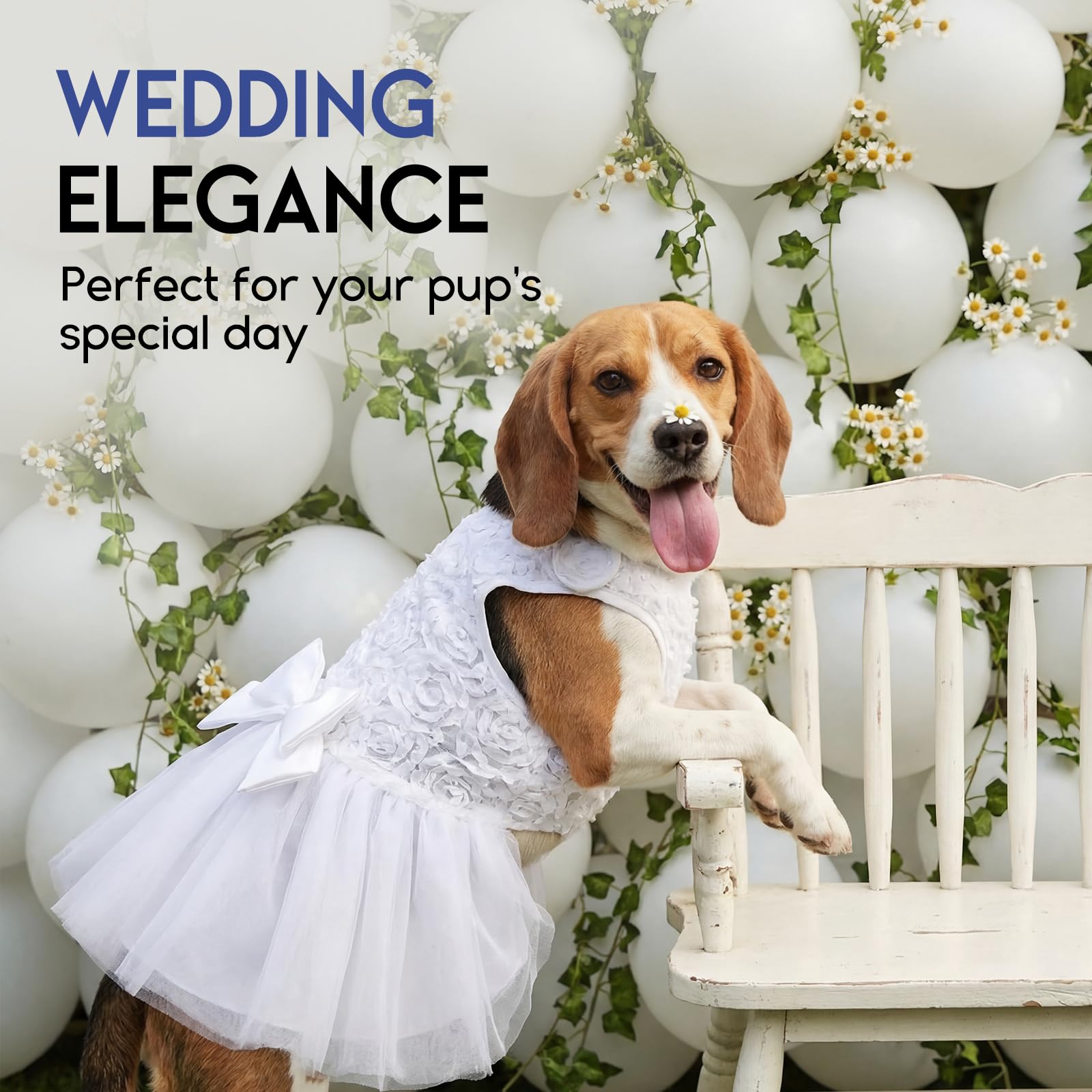 Abito da Sposa per Animali Domestici in Pizzo Bianco XS per Cani Piccola Taglia Gatti