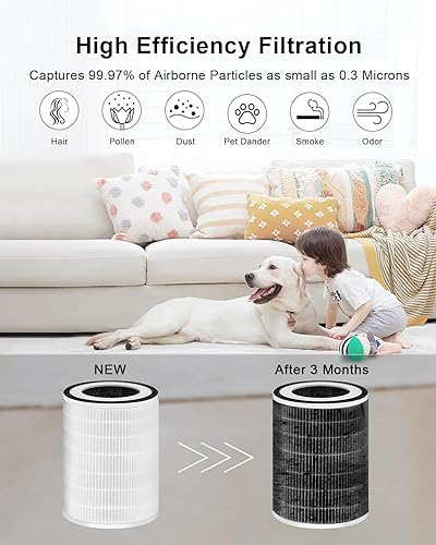 Miniatura 3 de MORENTO Kilo True HEPA 13 Filtro de repuesto para purificador de aire, compatible con Afloia Kilo, MIRO y MIRO PRO purificador de aire (paquete de 1)