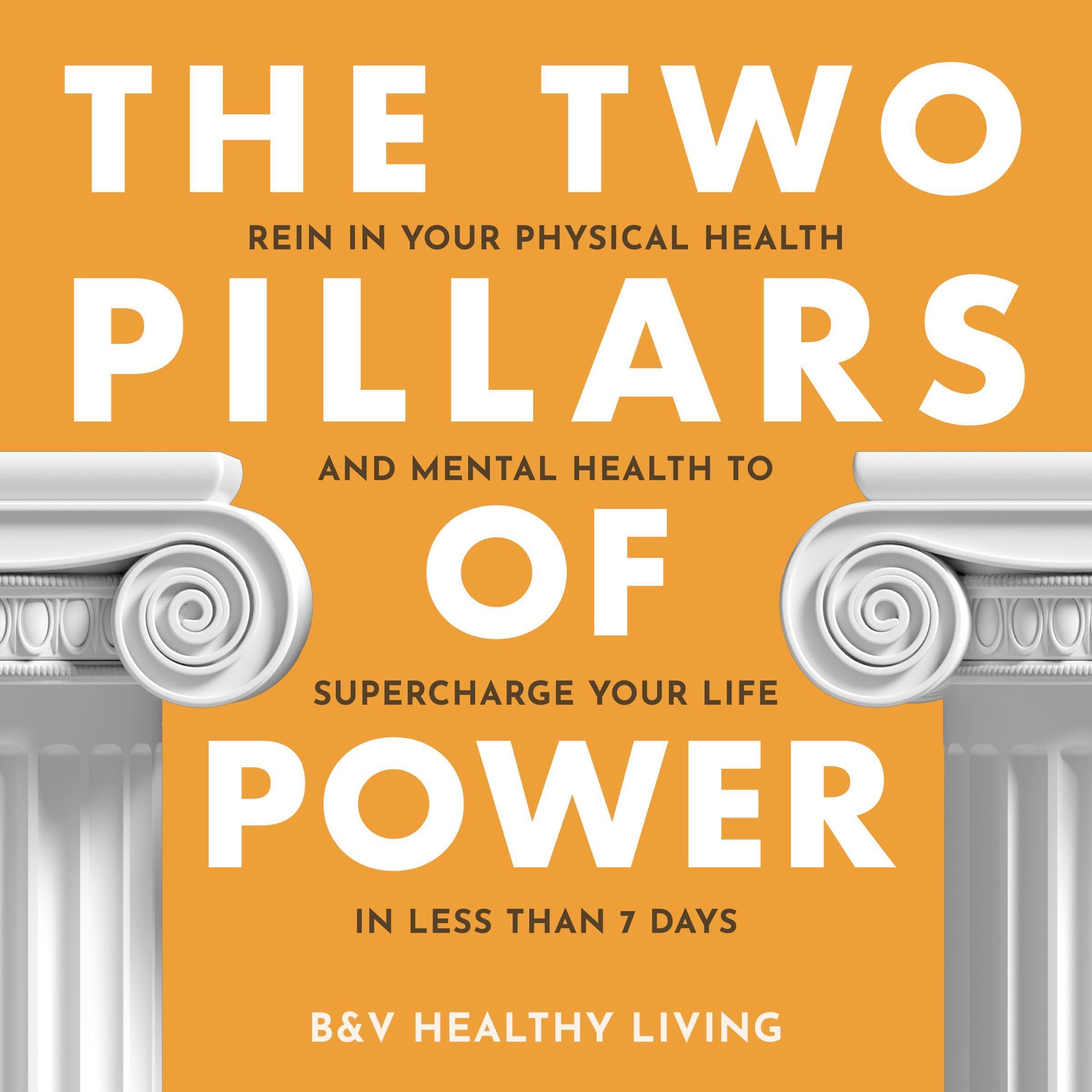 Cover art for The Two Pillars of Power