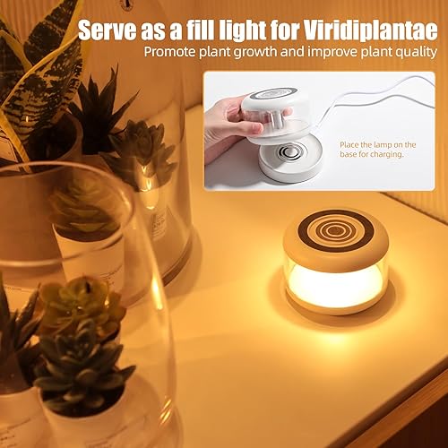 Miniatura 6 de oneleaf - Luz ambiental LED portátil, luz para la noche como lámpara de velas, tres luces con una base de recargable, interruptor táctil,