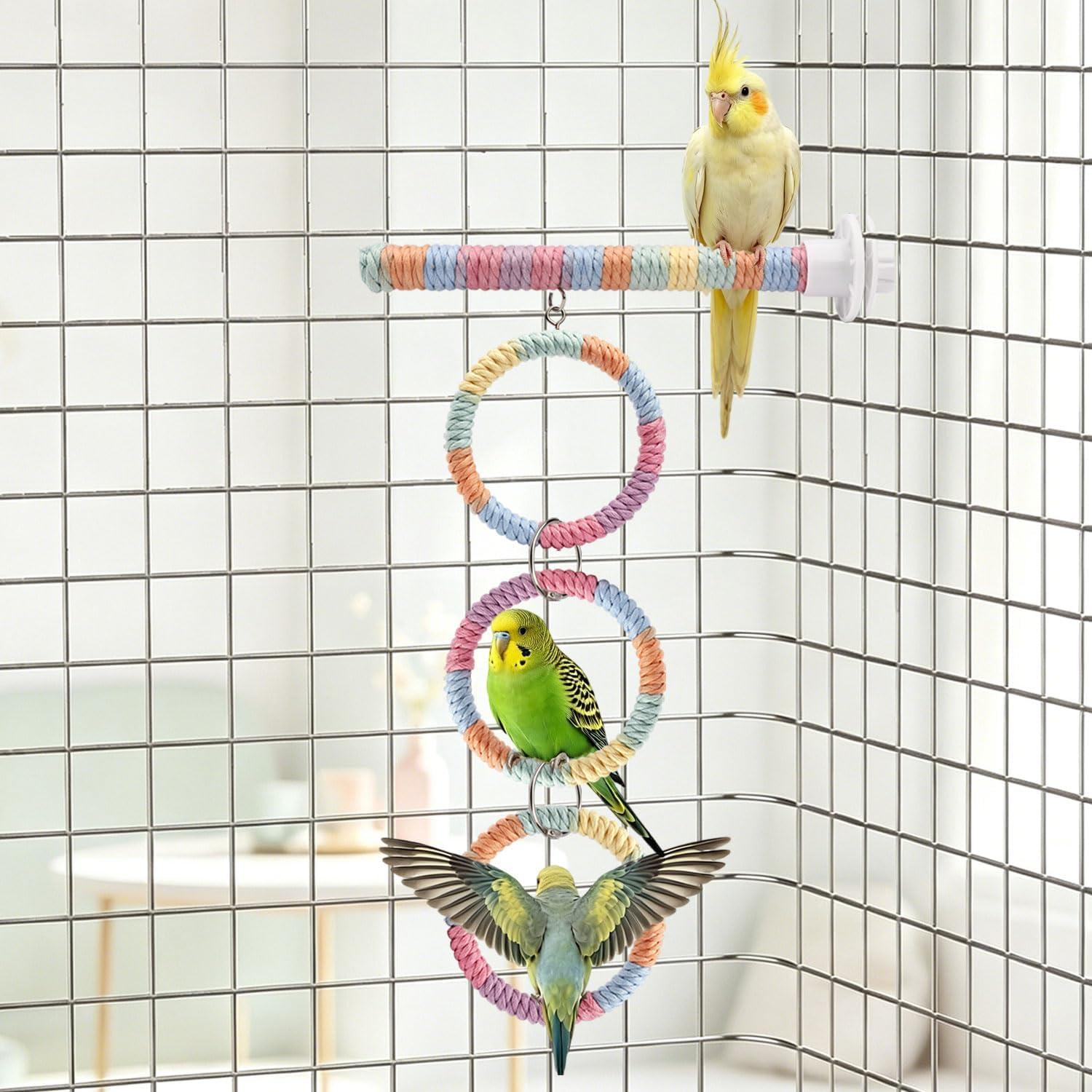 Litewoo 3-Ring Bird Swing Parrot Perch Colorful Cotton Rope Chew Climbe Toy | Colorful soft cotton rope, adjustable length for multi-level play, durable metal connections, for parakeet/budgie/conure