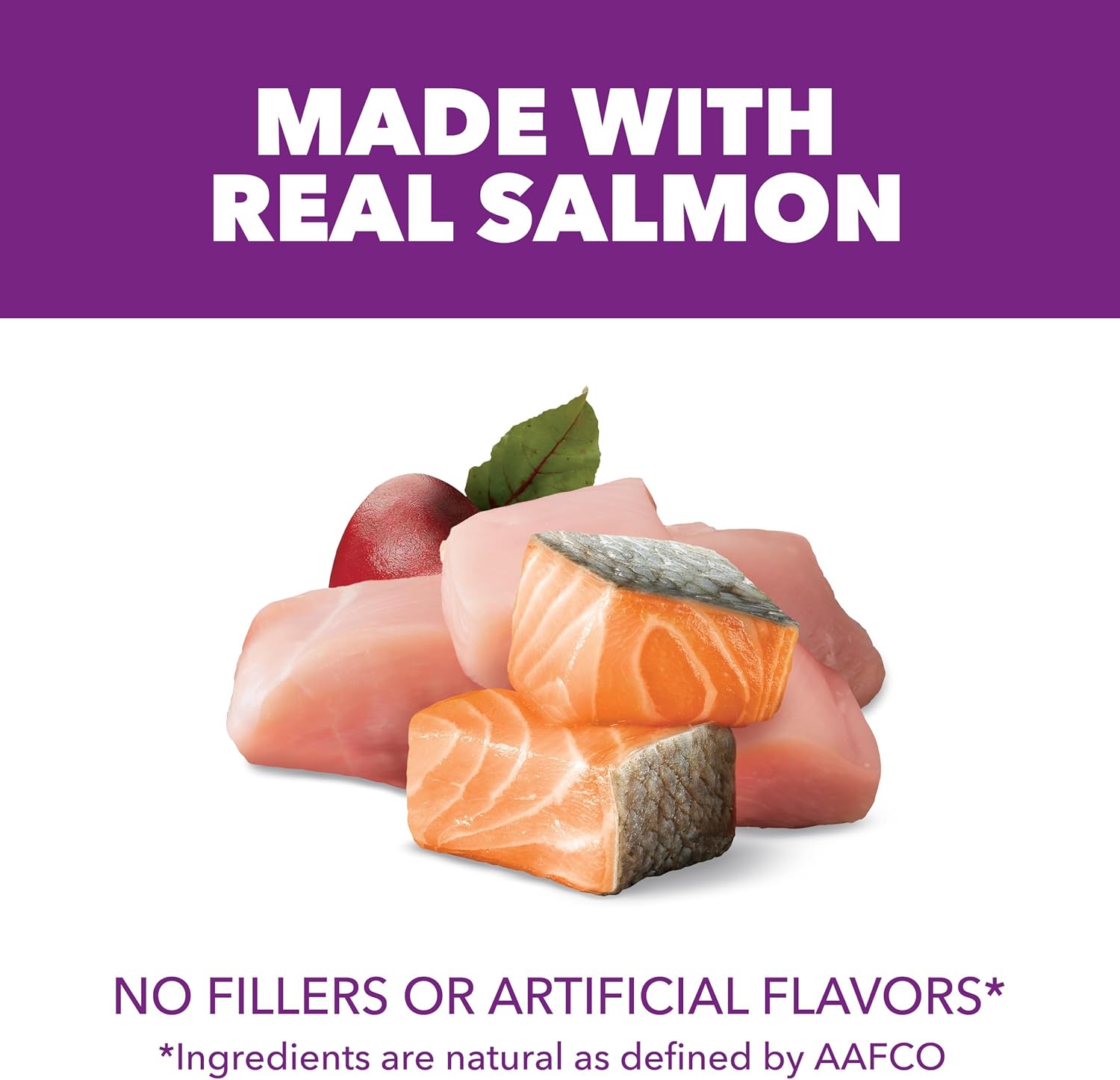 IAMS Advanced Health Skin & Coat Dry Dog Food, Adult Dog Food Dry Chicken and Salmon Recipe, 13.5 lb. Bag