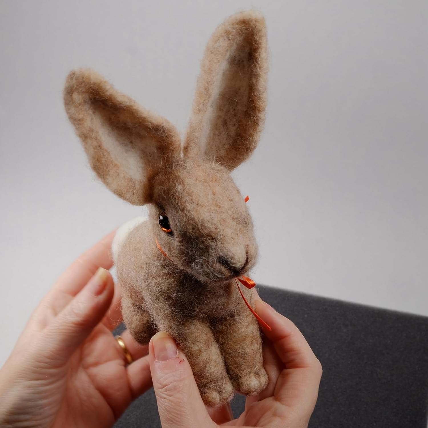 Feltsky Rabbit with Tie Needle Felting Kit for Beginners DIY Craft Kit Include Everything to Make