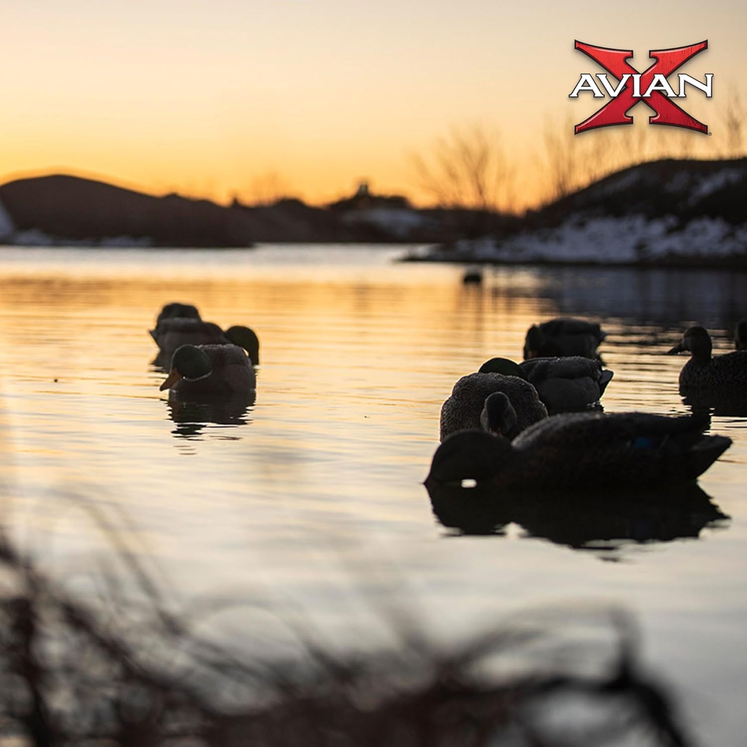Avian-X Topflight Realistic Floating Fusion Mallards with Rugged Design and Topflight Backwater Mallards Ultra Realistic Floating Decoys