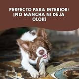 Ver la foto 5