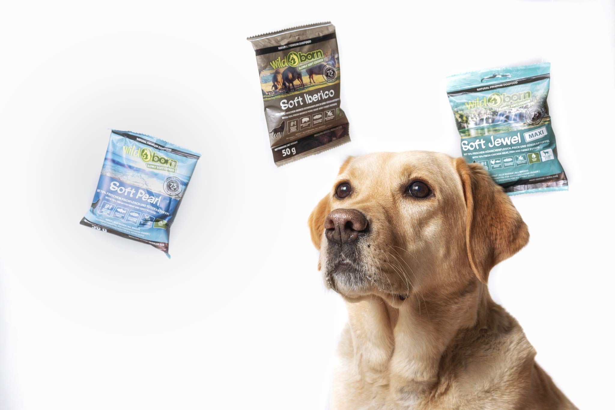 Wildborn Soft Jewel 12 kg getreidefreies Hundefutter mit 75% frischem Huhn & Fisch | extra Soft Hundefutter mit hohem Fleischanteil | getreidefreie Rezeptur aus Deutschland