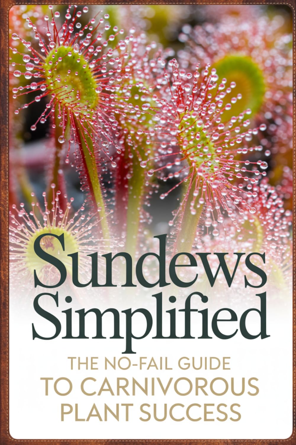 Sundews Simplified: The No-Fail Guide to Carnivorous Plant Success: 2 (Carnivorous Plant Success Series)