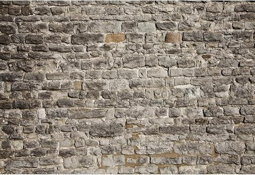 Laeacco Telón de fondo de pared de ladrillo vintage de 15 x 10 pies, ladrillo de piedra gris vintage, fondo de fotografía de ladrillo rústico,
