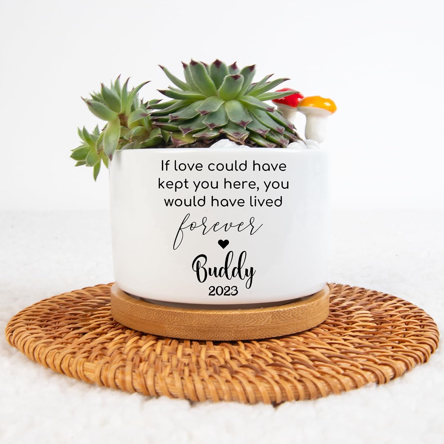 Personalized Dog Memorial Gift Planter, Dog Sympathy Gift - Pet Memorial, Pet Memorial Planter Pot with Bamboo Tray, Custom Pets Condolences Loss Gifts, Dog Memorial Gifts Plant Pot, 2