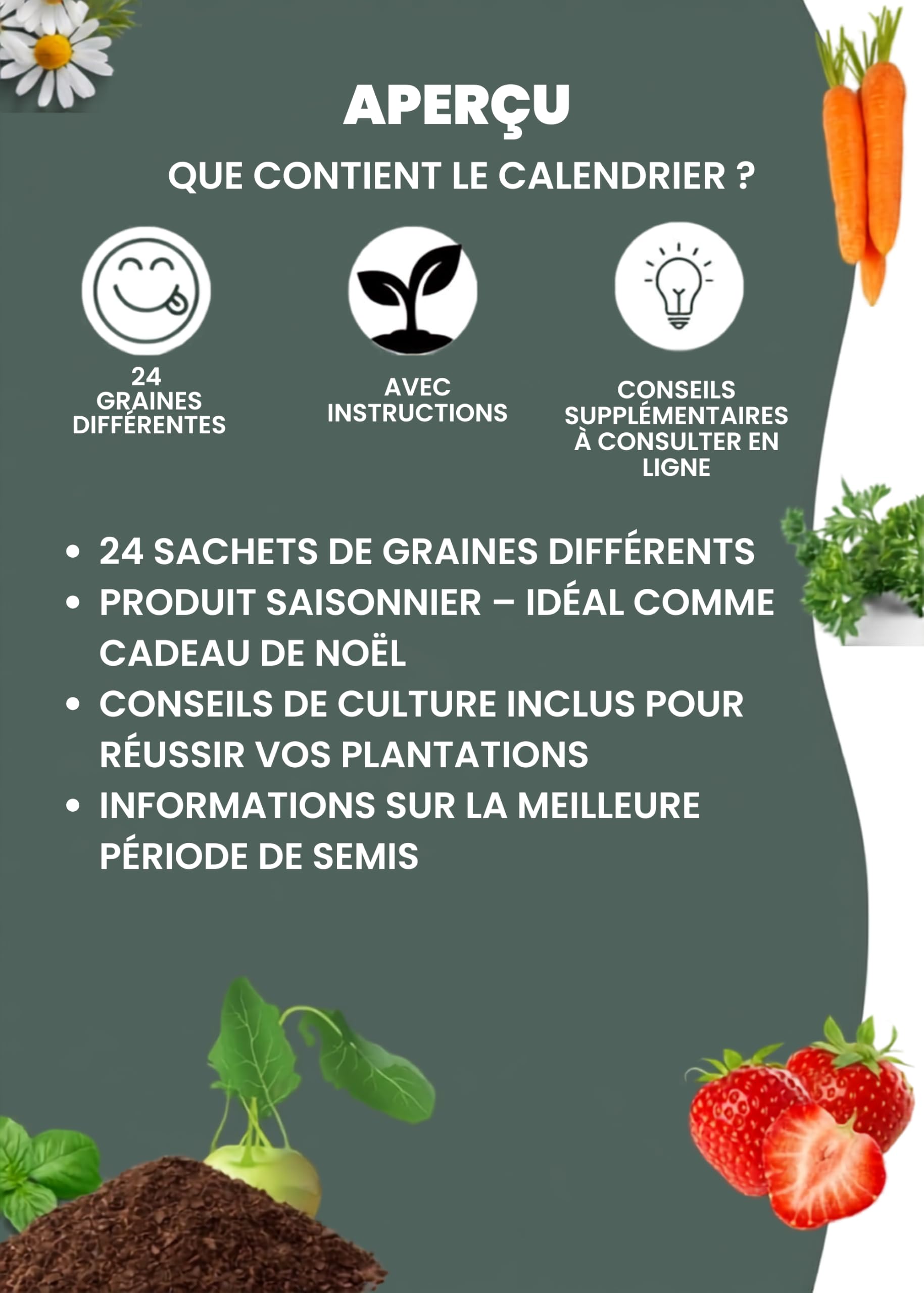 BOXILAND® Calendrier de l'Avent Graines 2026 légumes herbes fruits fleurs
