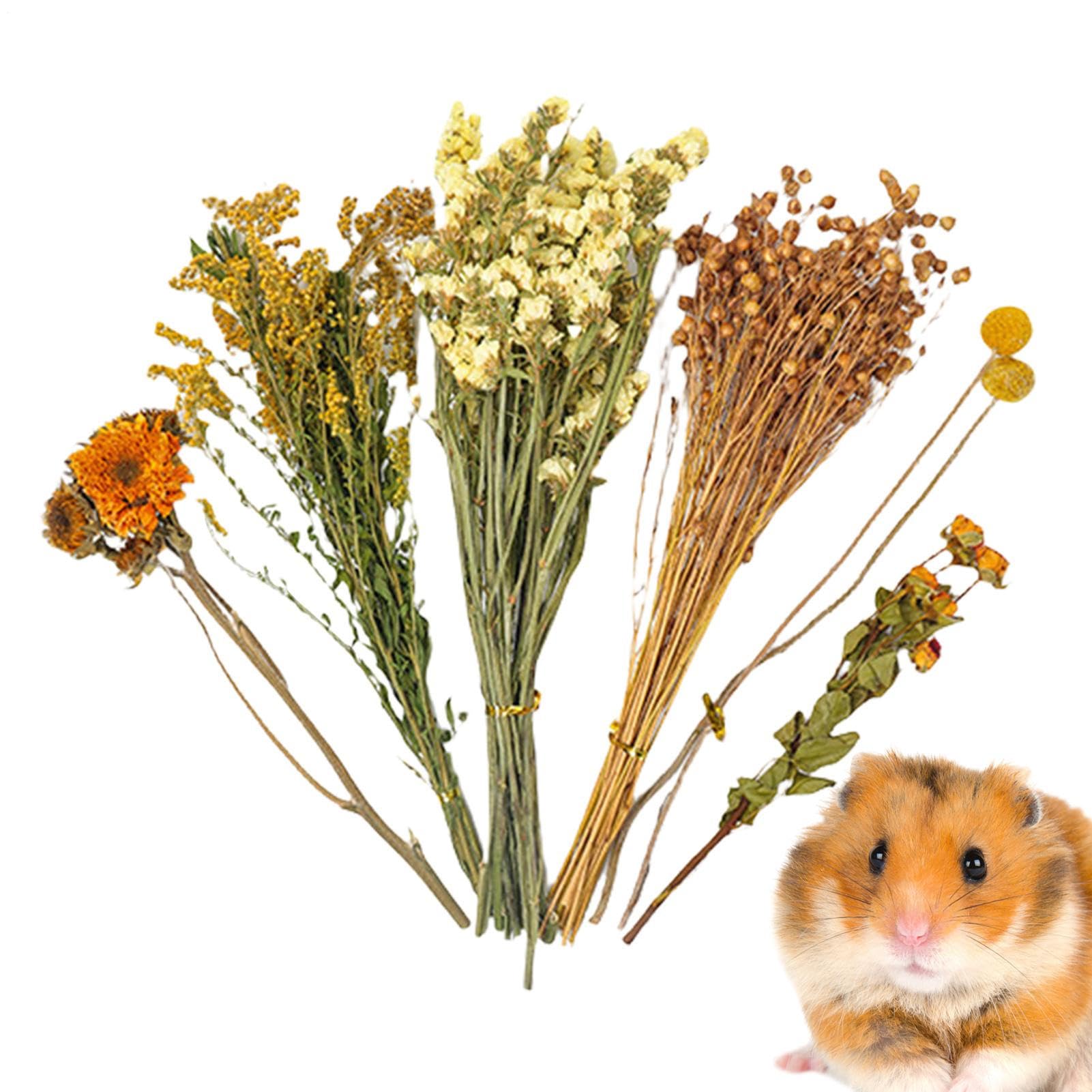 Natural Dried Flower Hamster Bedding - Flowers & plant Habitat Decor For Small Animals | Grain Sprays Set | Safe Cage Accessories | Long-Lasting Freshness For Gerbils Mice Syrian Hamsters