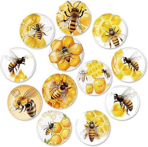 Vista 10 de 12 unidades de imanes de vidrio para nevera, calcomanía para nevera, decoración de imanes para nevera, imanes fuertes para nevera para cocina