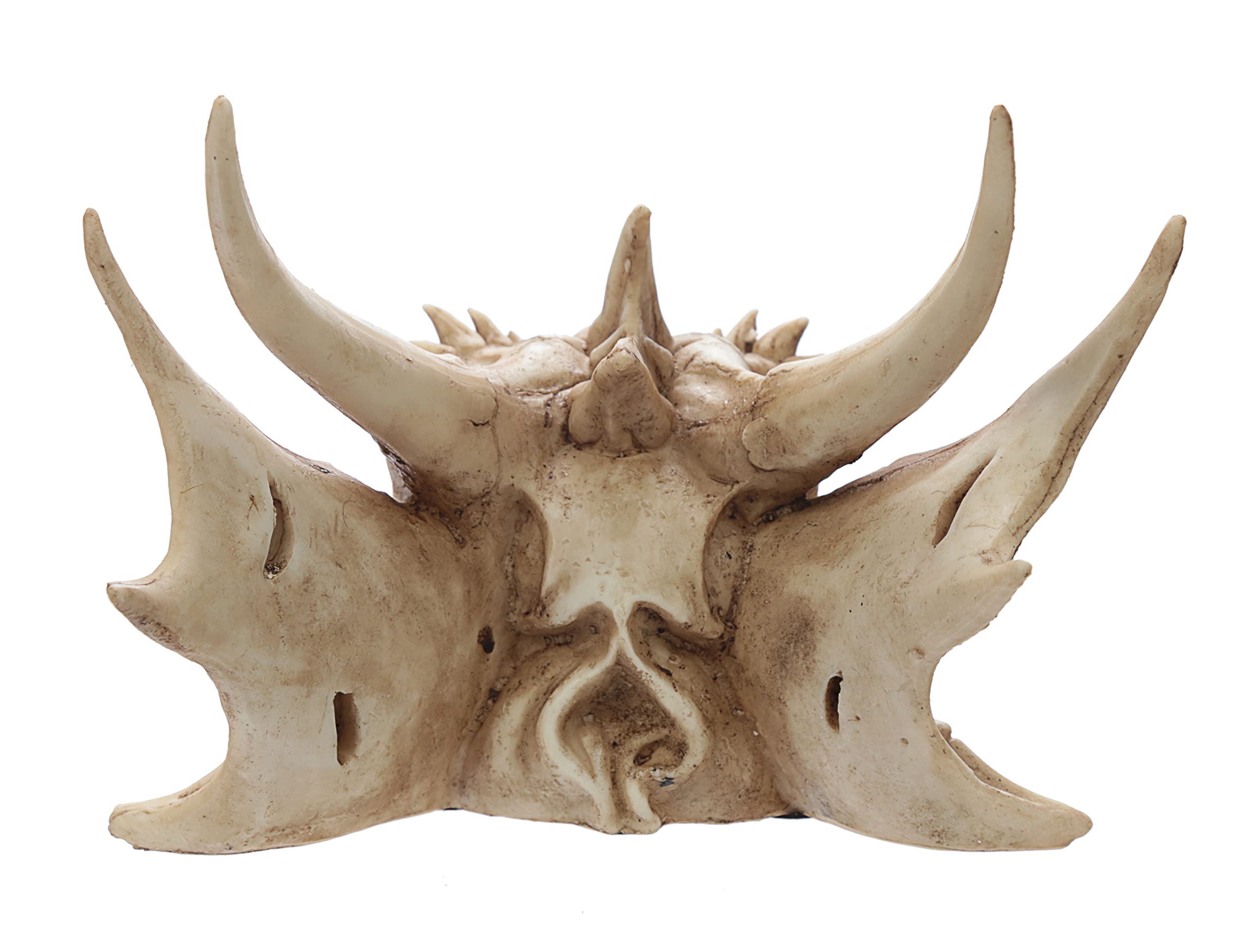 Puckator Dekofigur Drachenkopf, Kunstharz, gemischt, H 16,5 cm, B 22,5 cm, T 25 cm