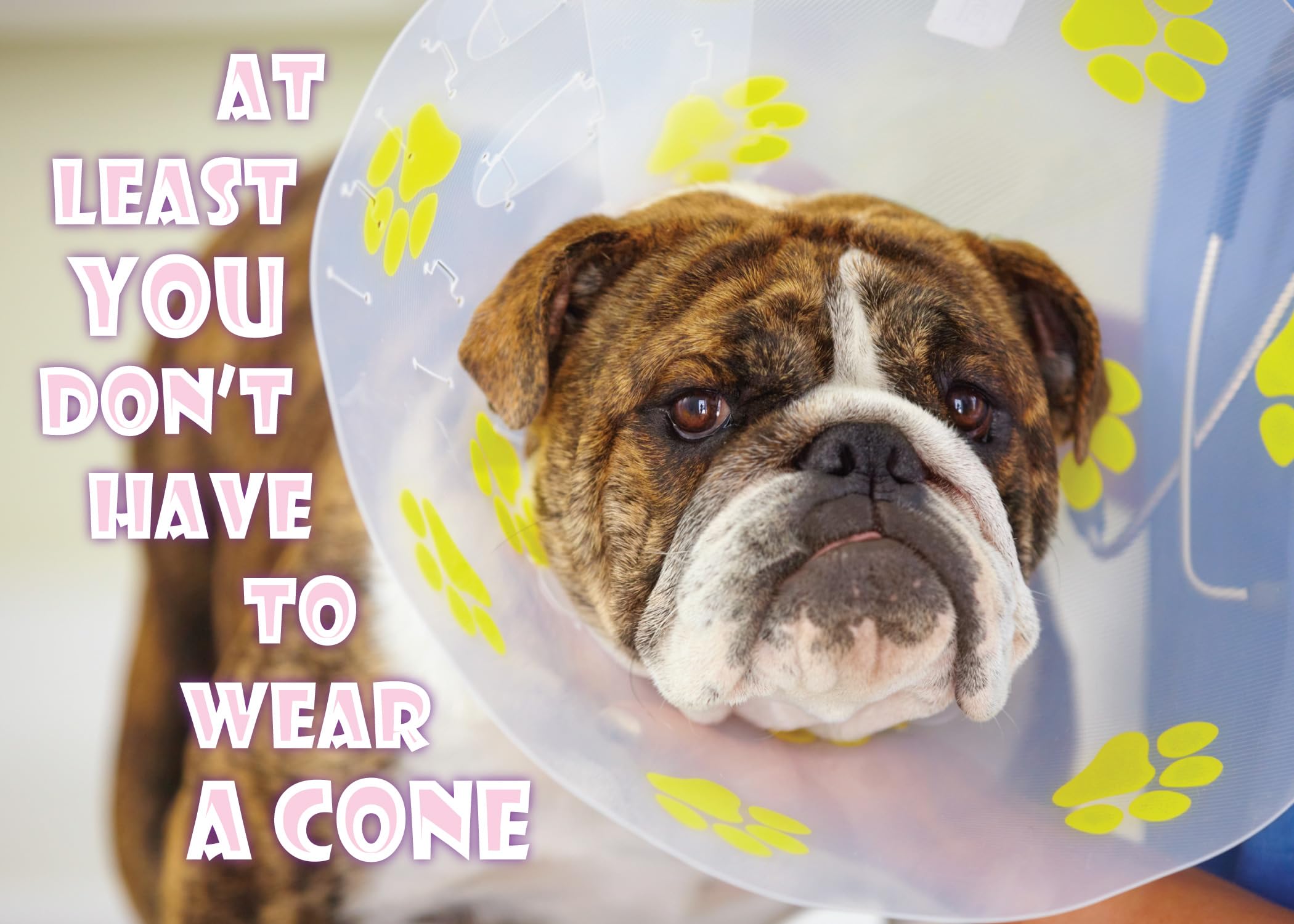 Hundetagebücher — Don't worry, we're still around, image size:2100x1500