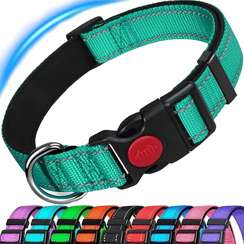 Dog Collar, Reflective Adjustable Basic Dog Collar with Soft Neoprene Padding